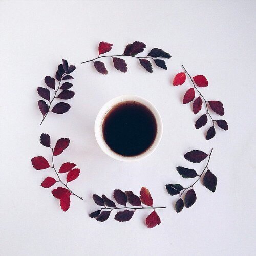 ������ ������ - 29 ��� 2015 � 12:35