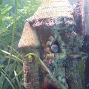 ���� ���� ��������, ��������������, 62 ���� - ��������� 23 ���� 2015 � ������ ���� ����������