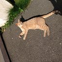 ���� �����, ������, 56 ��� - ��������� 20 ���� 2015 � ������ ���� ����������