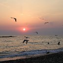 ���� �������, �����, 56 ��� - ��������� 21 ��� 2015 � ������ ���� ����������