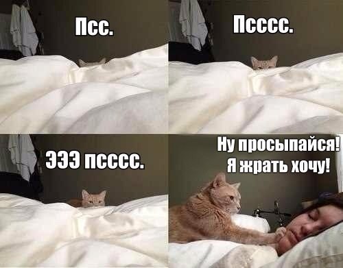    :D - 25  2015  07:36