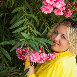 ���� ���������, ������� - ��������� 21 ���� 2015