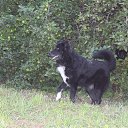 ���� �������, �����-���������, 54 ���� - ��������� 23 �������� 2015 � ������ ������� +������