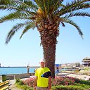 ���� �������, ������ ��������, 61 ��� - ��������� 9 �������� 2015