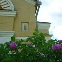 ���� ���������, ������, 52 ���� - ��������� 5 ���� 2015 � ������ ������...�������... ���� 2015�