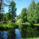 ���� �����, ������� ���� - ��������� 11 ������� 2015 � ������ ���� ����������