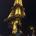 ���� Rocket, �����-���������, 37 ��� - ��������� 29 ���� 2015 � ������ ���� ����������