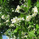 ���� �����, �������, 69 ��� - ��������� 11 ������� 2015 � ������ ���� ����������