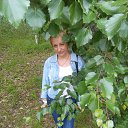 ���� �����, ������������ - ��������� 21 ���� 2015 � ������ ���� ����������