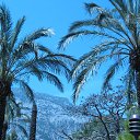 ���� ���������, �����������, 69 ��� - ��������� 18 ��� 2015 � ������ �������.��� 2015�