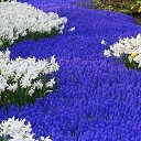 ���� ������, ���������� - ��������� 5 �������� 2015 � ������ ������ ��������