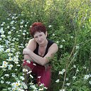 ���� �������, �������� - ��������� 3 ������� 2015