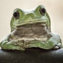 ���� �, ������� ����� - ��������� 26 ���� 2015 � ������ ������ ��������