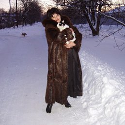 ����, ������������