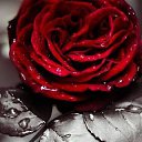 � �� �����-������ �������, ��� ������ ����? ���� ���� ��� �������.����� ����� ��� ������, ���������� ��� � �����, ������, ������� ������, �� ����� �� �� �������� Ÿ ������������ ���� ����. ������ � ����������, �����, ���� ������ ������, ������ �. ���� ��� ���� ������. �� �����-������ ������� ���� ����? ����� � ����. ��� �� ����� �������... �� ������� ������ ��������