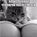 ���� ���, ������������, 32 ���� - ��������� 8 ��� 2015 � ������ �������