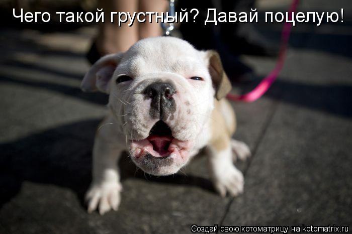 ������� - 16 ���� 2015 � 00:07