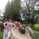  , , 45  -  22  2015    2015