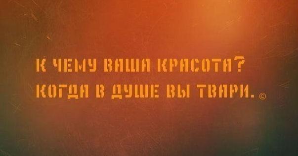 ���� � ������! - 24 ������ 2015 � 13:33