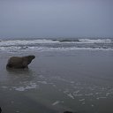 ���� ���������� �� ������� �������