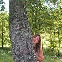 ���� ��������, ��������, 37 ��� - ��������� 2 ������� 2015 � ������ ���� ����������