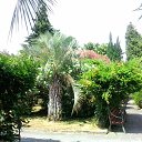 ������� �� ������� ���� ����������