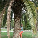  , , 38  -  13  2015     09.2015