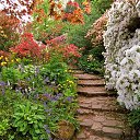 ���� ����, ������ - ��������� 19 ��� 2015 � ������ ���� ����� ��������