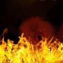 ���� Clyde, ���������, 32 ���� - ��������� 22 ��� 2015 � ������ ���� ����������