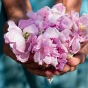 ���� �����, ������������ - ��������� 30 ���� 2015 � ������ ������ ��������