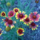 ���� ��������, ������, 74 ���� - ��������� 22 �������� 2015 � ������ ���� ����������