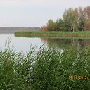  , -- -  19  2015    2015