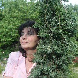 Светлана, 63, Измаил