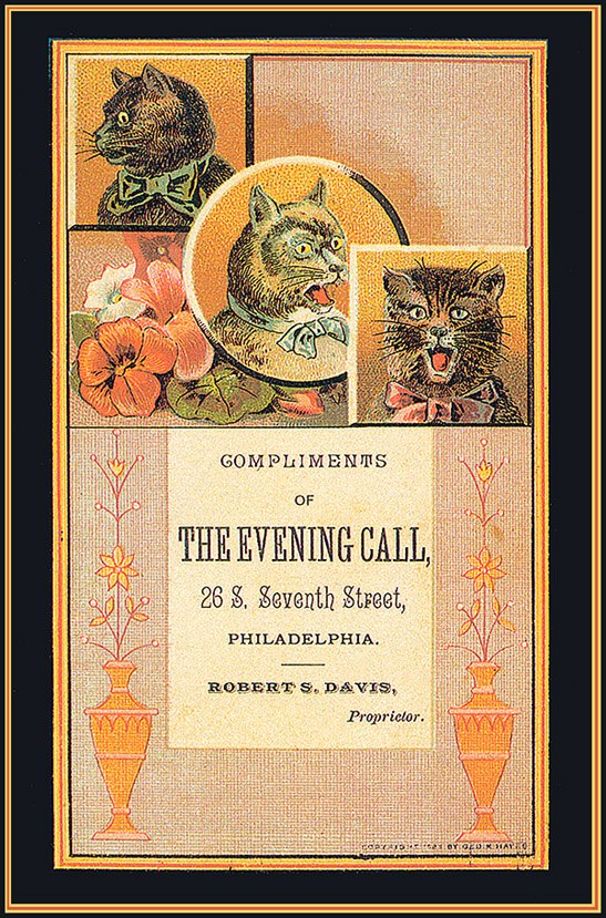 Cat in Old Ilustratives /     - 26