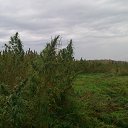 ���� �������, ����������, 45 ��� - ��������� 13 �������� 2015 � ������ ���� ����������