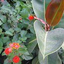 ���� ���������, �����������, 69 ��� - ��������� 21 ������� 2015 � ������ ������������