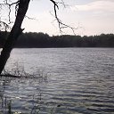 ���� ��������, �����-��������� - ��������� 28 ���� 2015 � ������ ������ �� �����