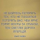 ���� Quiet, ������, 43 ���� - ��������� 16 ���� 2015 � ������ ������ ��������