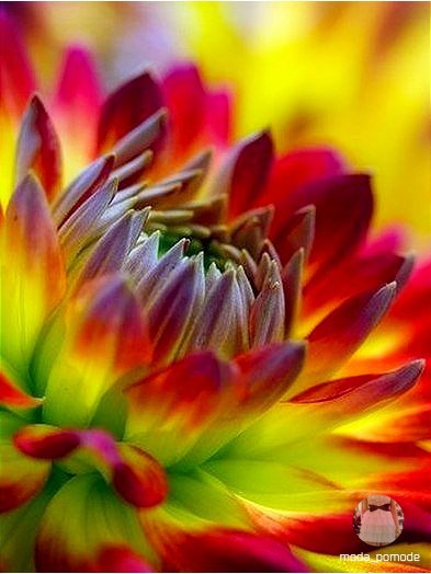 ,   ,  ,       . - 6