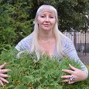 ���� �������, �����������, 54 ���� - ��������� 11 �������� 2015 � ������ ���� ����������