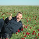 ���� ������, ������, 61 ��� - ��������� 4 ������� 2015 � ������ ���� ����������