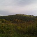 ���� �������, �������, 41 ��� - ��������� 13 �������� 2015 � ������ ����� ����