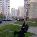 ���� �����, ��������, 36 ��� - ��������� 23 ��� 2015 � ������ ���� ����������