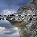 ���� Z, ������, 38 ��� - ��������� 15 ���� 2015 � ������ ���� ���� ������
