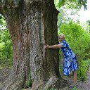 ���� ������, ���� - ��������� 11 ������� 2015 � ������ ���� ����������