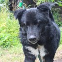 ���� �������, �����-���������, 54 ���� - ��������� 23 �������� 2015 � ������ ������� +������