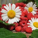 ���� ����������, ������ - ��������� 1 ���� 2015 � ������ ������ ��������