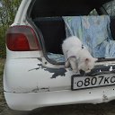 ���� ������, ����������� - ��������� 15 ��� 2015 � ������ ������