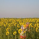 ���� ������, ����� - ��������� 31 ���� 2015 � ������ ���� ����������