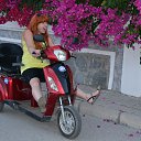 ���� ��������, ������, 41 ��� - ��������� 19 ���� 2015 � ������ ���� ����������